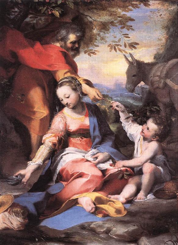 Rest on the Flight to Egypt sw, BAROCCI, Federico Fiori